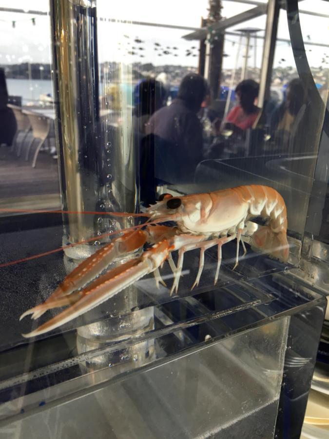 表德珍酒店 厄尔奇 外观 照片